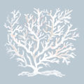 Image Not Available
